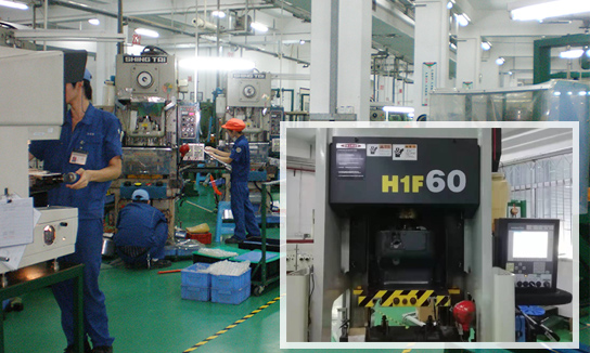 Advantages Of Hashimoto Precision